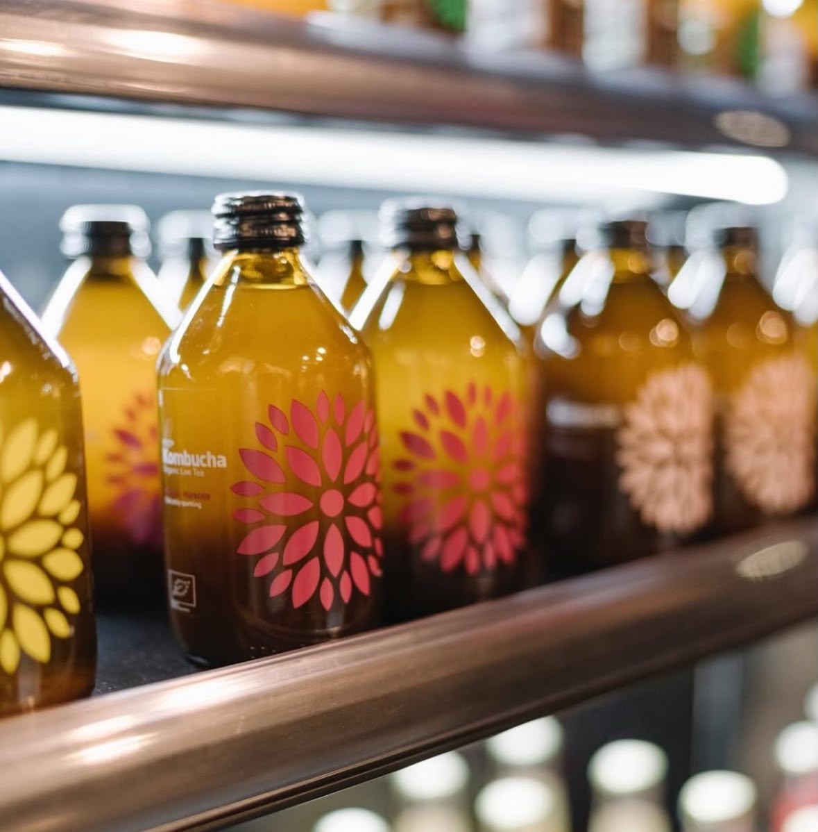 VIGO Kombucha bottles stocked on a shelf